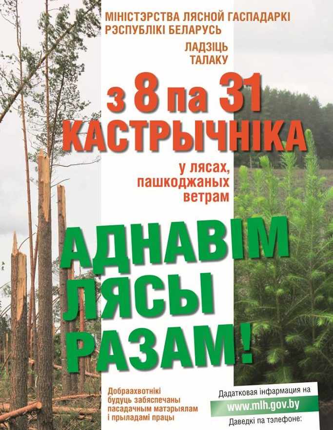 Обновим леса с Боровлянским спецлесхозом